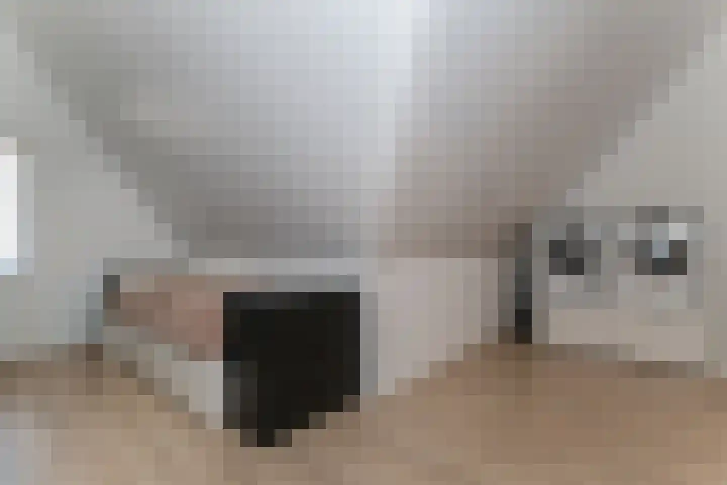 Minstreellaan 10 Oostvoorne thumbnail 46