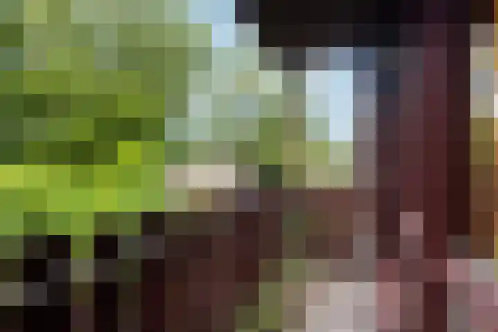 Minstreelpad 27 Soest thumbnail 11
