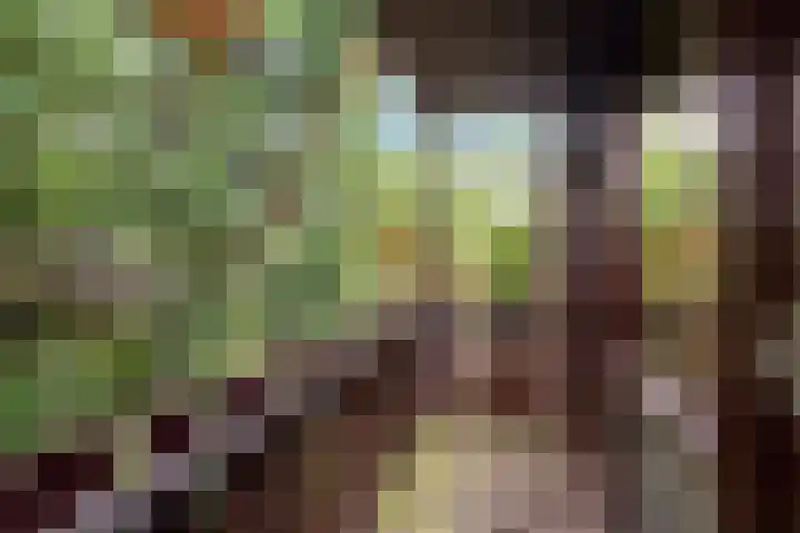 Minstreelpad 27 Soest thumbnail 17