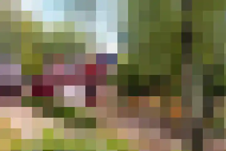Minstreelpad 27 Soest thumbnail 18