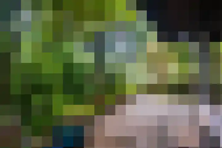 Minstreelpad 27 Soest thumbnail 21