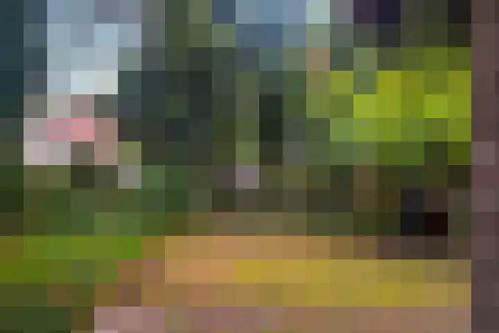 Minstreelpad 27 Soest thumbnail 22