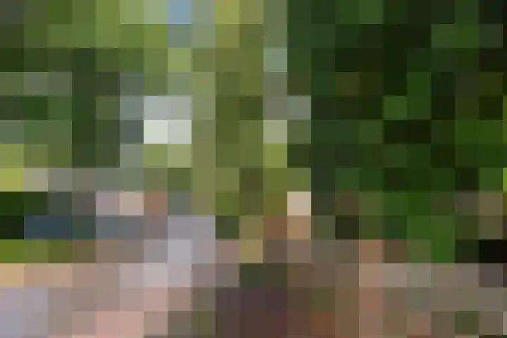 Minstreelpad 27 Soest thumbnail 23