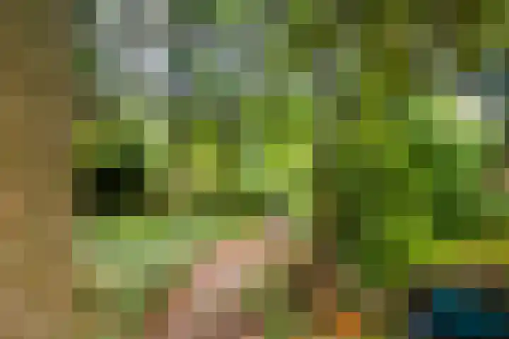 Minstreelpad 27 Soest thumbnail 24