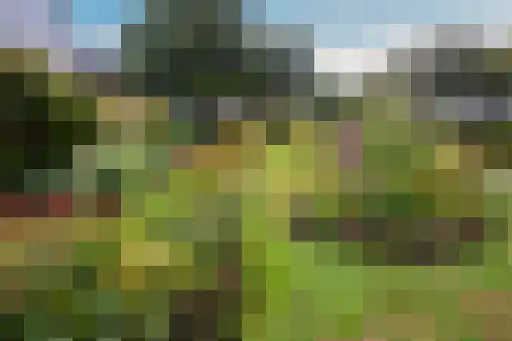 Minstreelpad 27 Soest thumbnail 25