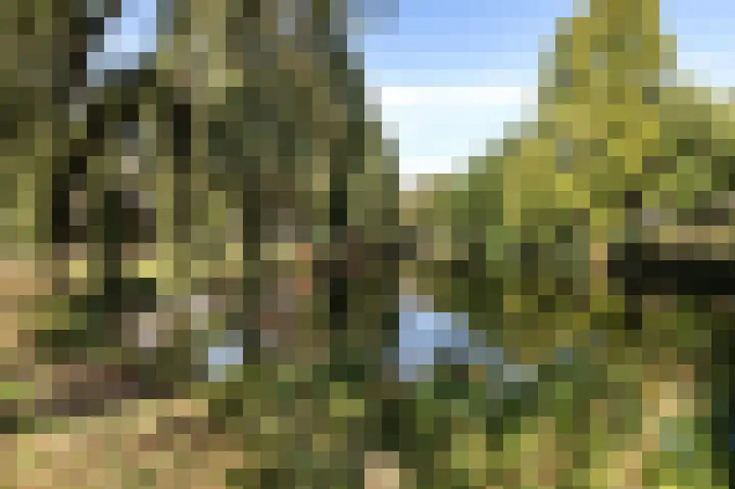Minstreelpad 34 Soest thumbnail 30