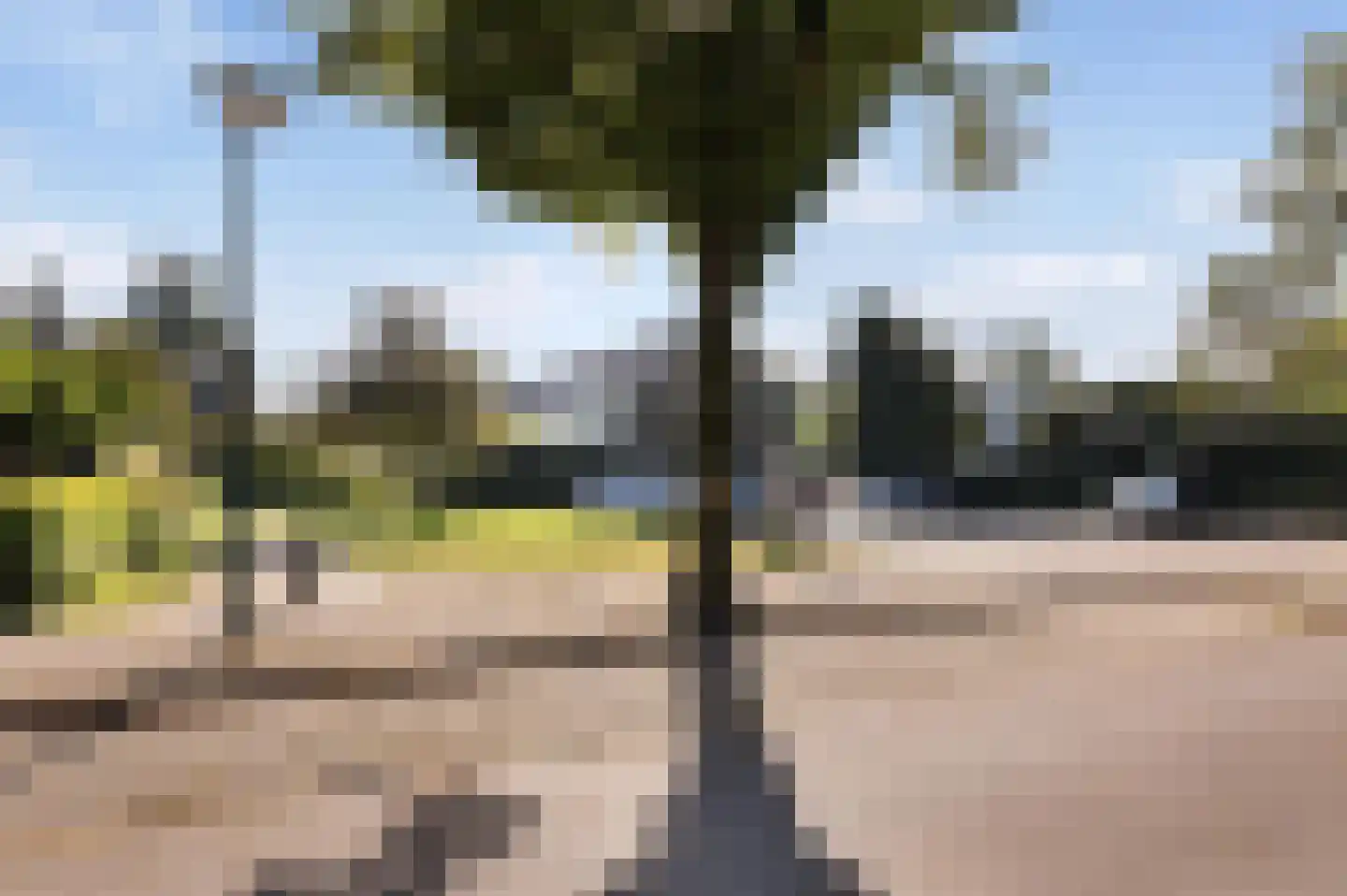 Minstreelpad 34 Soest thumbnail 31