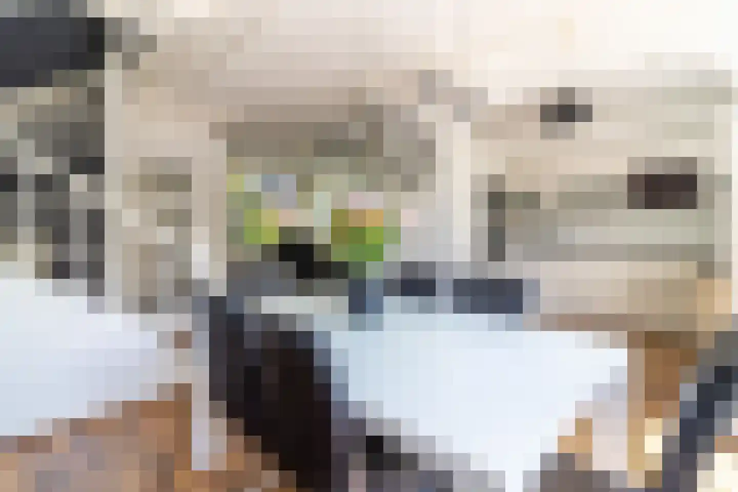 Minstreelpad 4 Soest thumbnail 5
