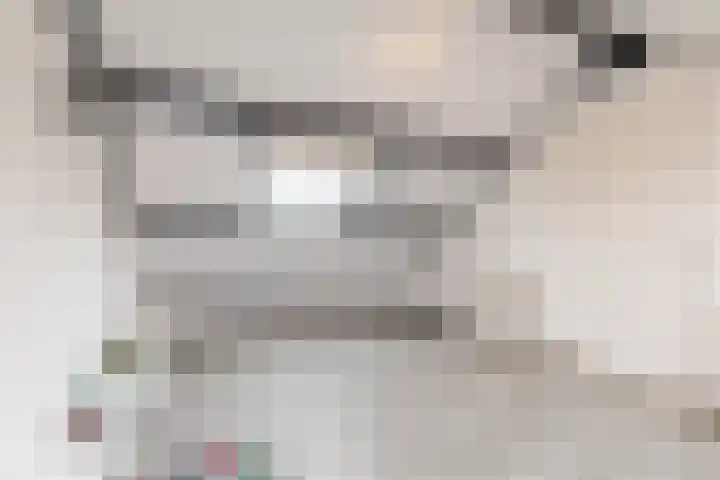 Minstreelpad 57 Soest thumbnail 30