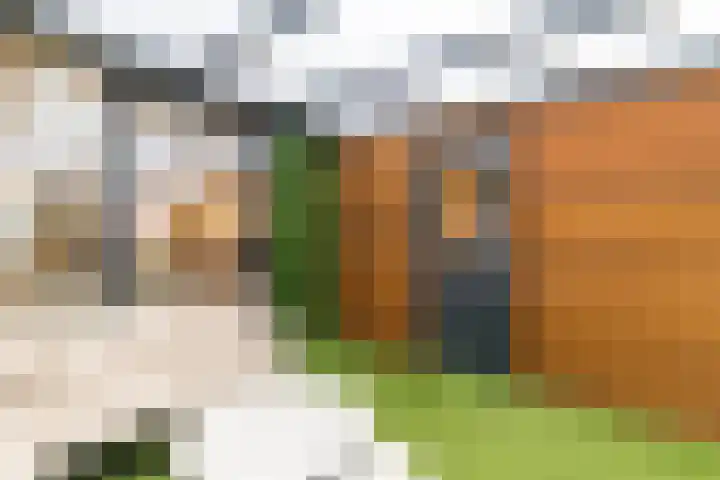Minstreelpad 57 Soest thumbnail 35