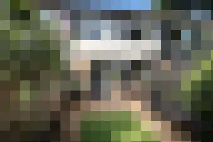 Minstreelpad 7 Soest thumbnail 26