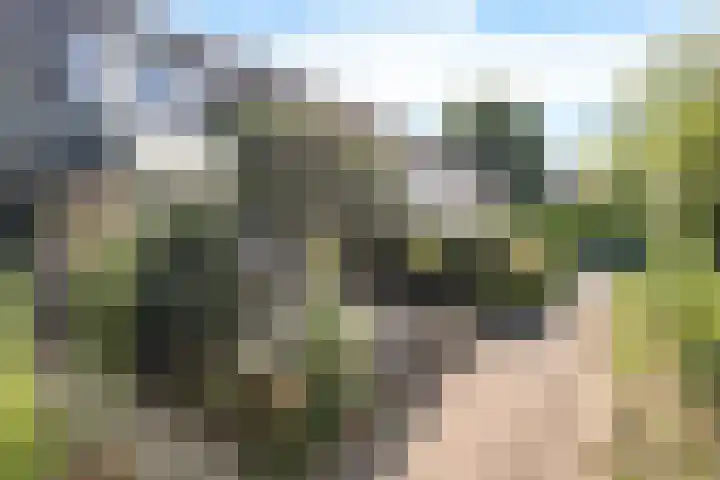 Minstreelpad 7 Soest thumbnail 28
