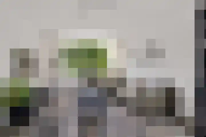 Minstreelpad 7 Soest thumbnail 4
