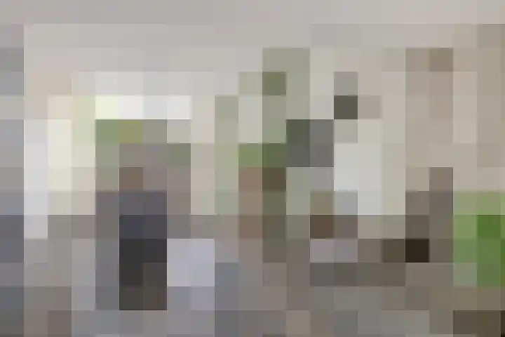 Minstreelpad 7 Soest thumbnail 8