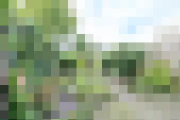 Minstreelshoeve 103 Apeldoorn thumbnail 15