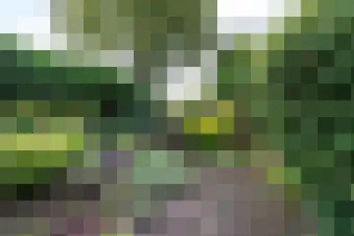 Minstreelshoeve 103 Apeldoorn thumbnail 16