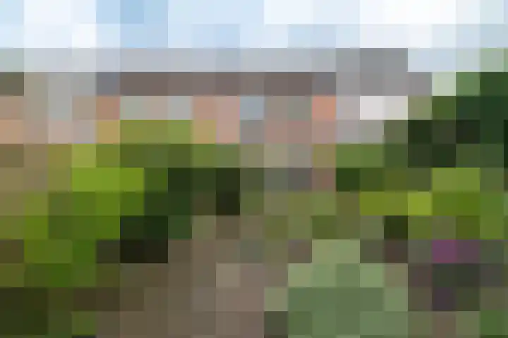 Minstreelshoeve 103 Apeldoorn thumbnail 17