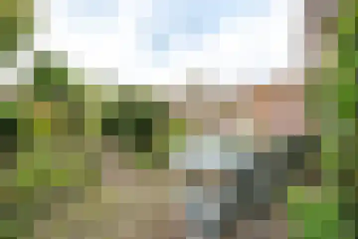 Minstreelshoeve 103 Apeldoorn thumbnail 18