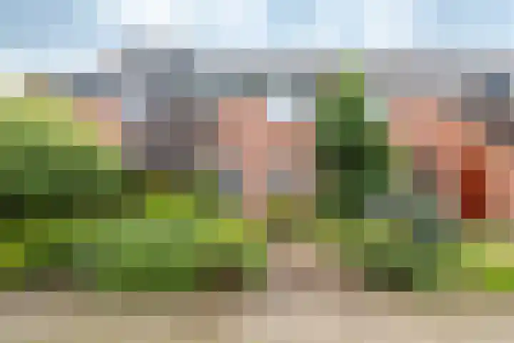 Minstreelshoeve 103 Apeldoorn thumbnail 19
