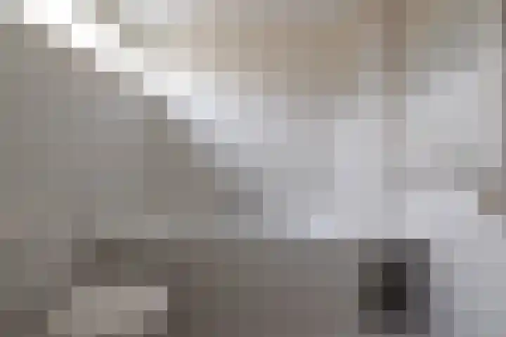 Minstreelshoeve 103 Apeldoorn thumbnail 28