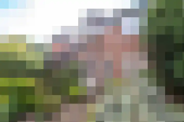 Minstreelshoeve 103 Apeldoorn thumbnail 35