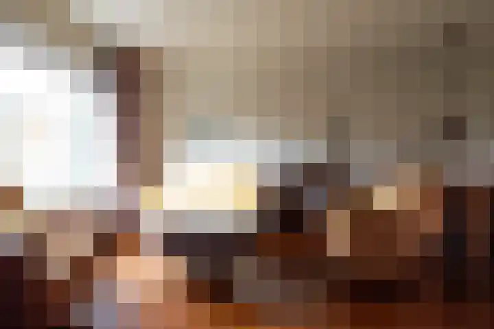Minstreelshoeve 103 Apeldoorn thumbnail 5