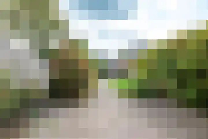 Minstreelshoeve 104 Apeldoorn thumbnail 11