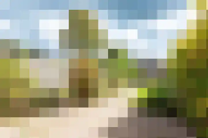 Minstreelshoeve 104 Apeldoorn thumbnail 12