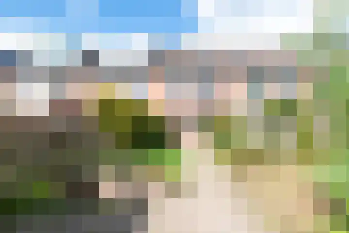 Minstreelshoeve 104 Apeldoorn thumbnail 13