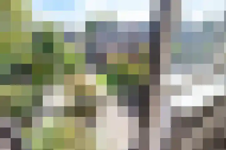Minstreelshoeve 104 Apeldoorn thumbnail 29