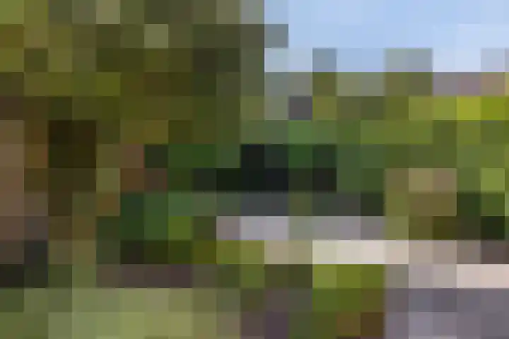 Minstreelshoeve 111 Apeldoorn thumbnail 13