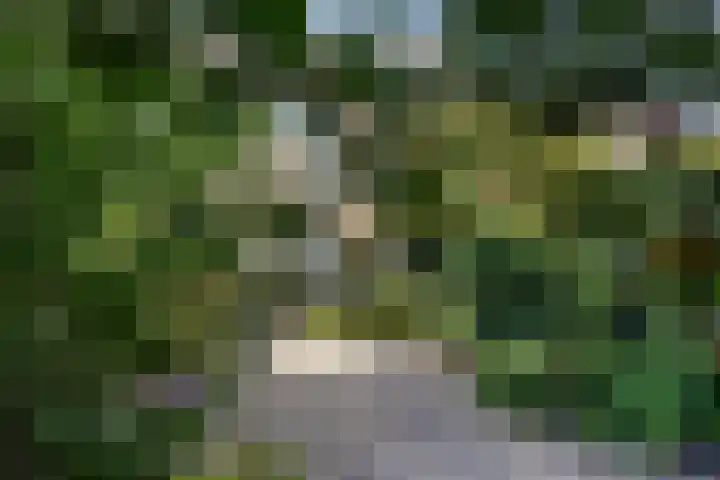 Minstreelshoeve 111 Apeldoorn thumbnail 14