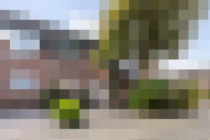Minstreelshoeve 111 Apeldoorn thumbnail 25
