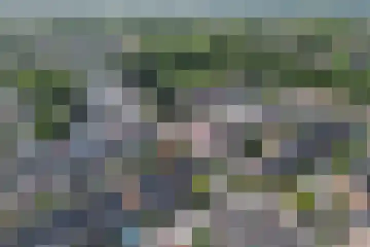 Minstreelshoeve 111 Apeldoorn thumbnail 27