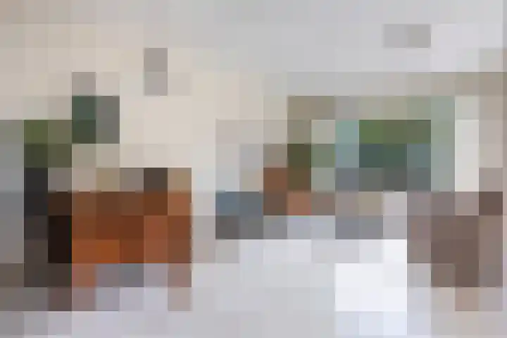 Minstreelshoeve 111 Apeldoorn thumbnail 4