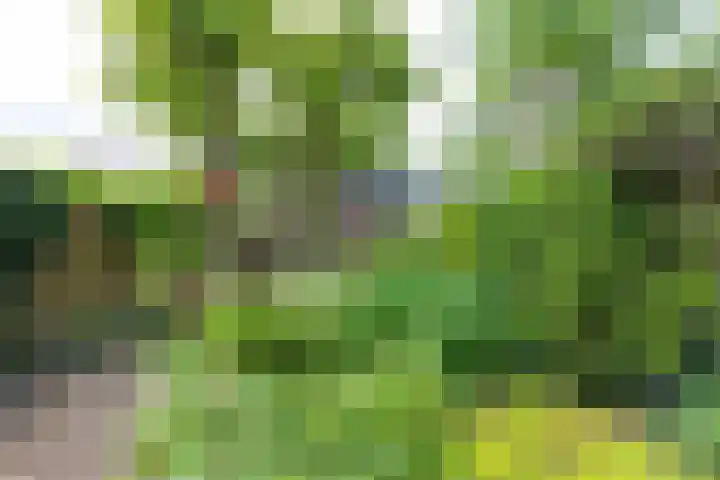 Minstreelshoeve 19 Apeldoorn thumbnail 14