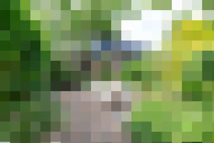 Minstreelshoeve 19 Apeldoorn thumbnail 15