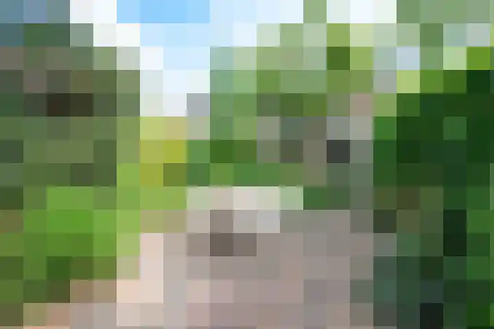 Minstreelshoeve 19 Apeldoorn thumbnail 16