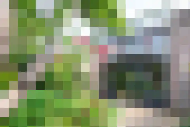 Minstreelshoeve 19 Apeldoorn thumbnail 18
