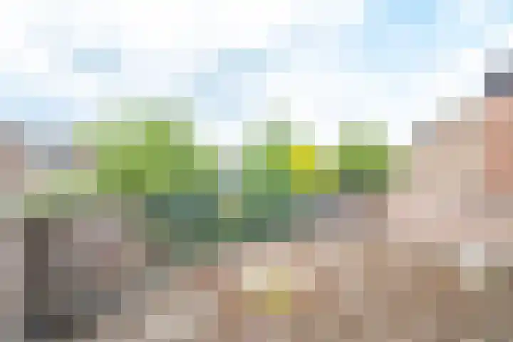 Minstreelshoeve 19 Apeldoorn thumbnail 31