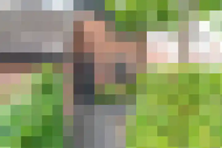 Minstreelshoeve 19 Apeldoorn thumbnail 4