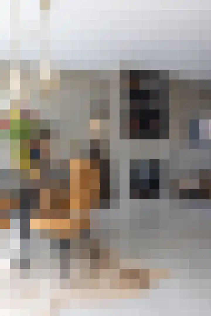 Minstreelstraat 32 Rotterdam thumbnail 12