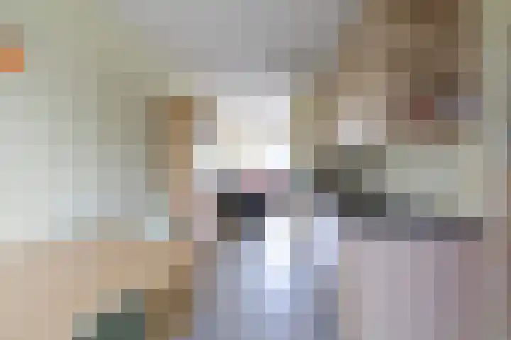 Mintplantsoen 7 Almere thumbnail 11
