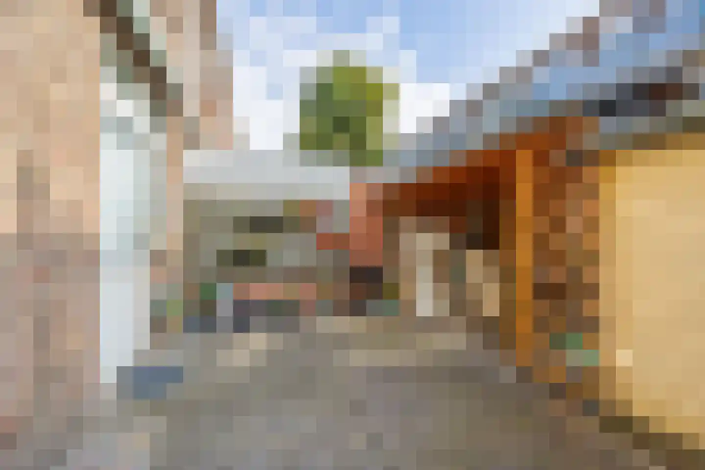 Miquelstraat 22 Den Haag thumbnail 12
