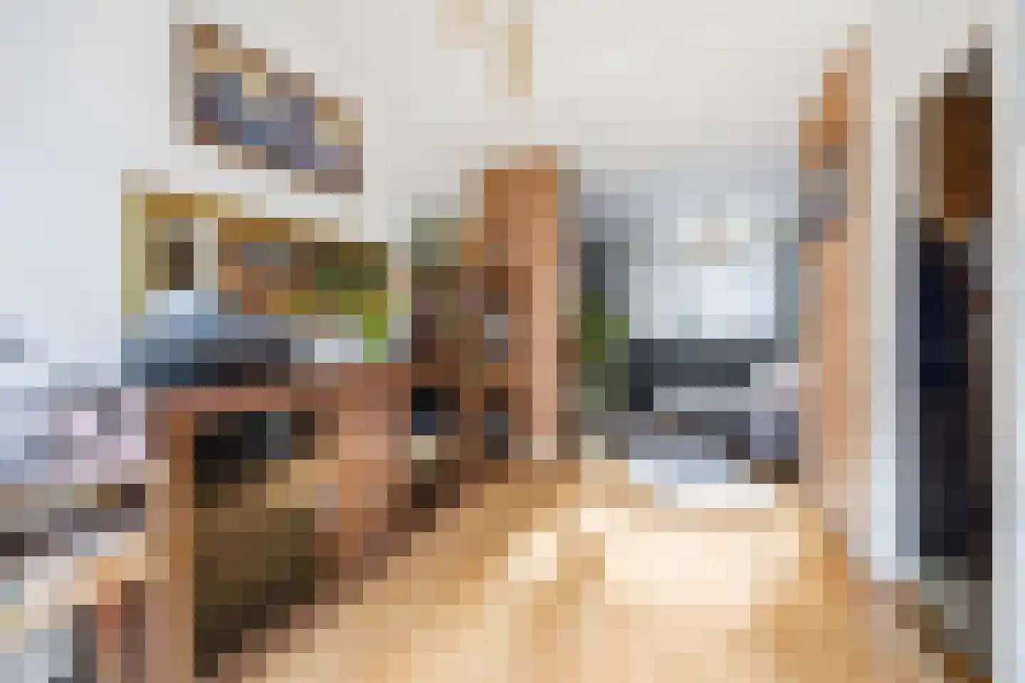 Miquelstraat 22 Den Haag thumbnail 7