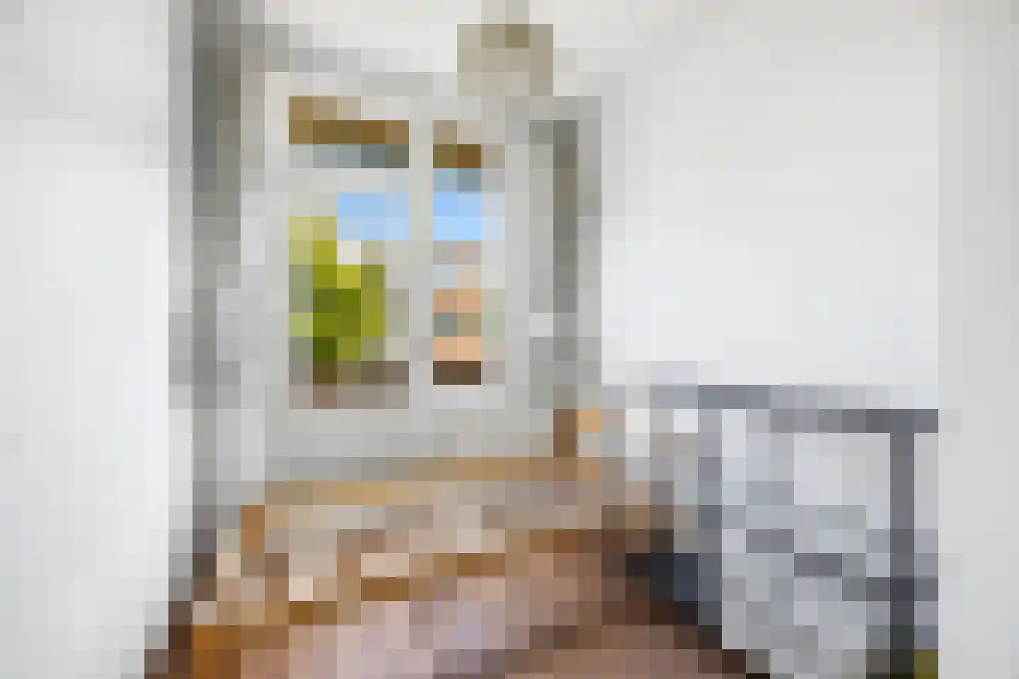 Miquelstraat 27 Den Haag thumbnail 19