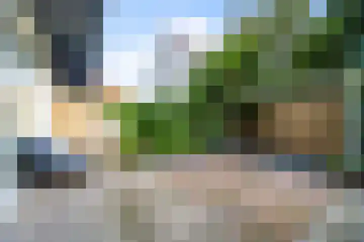 Miquelstraat 36 Den Haag foto 2