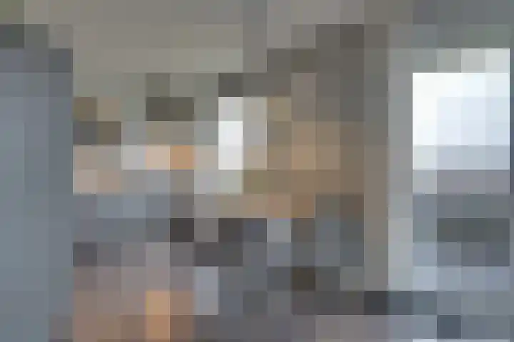 Mira 10 Purmerend thumbnail 10