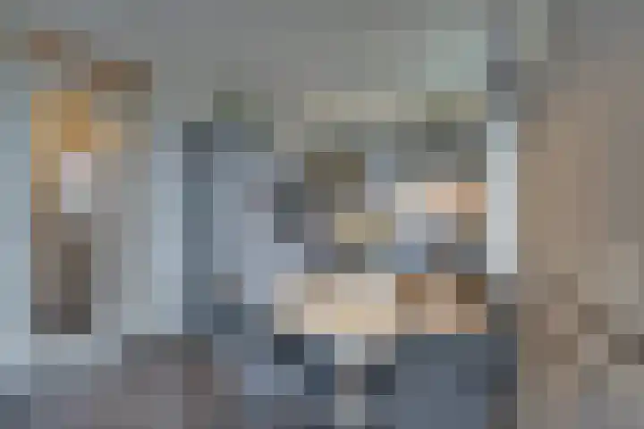 Mira 10 Purmerend thumbnail 11