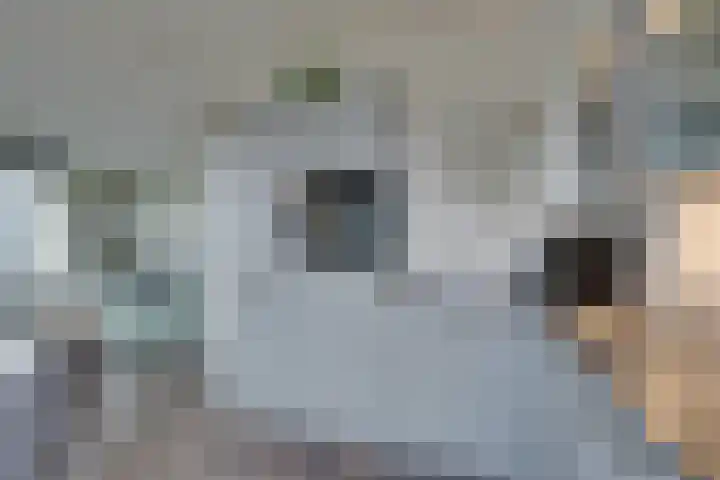 Mira 10 Purmerend thumbnail 14